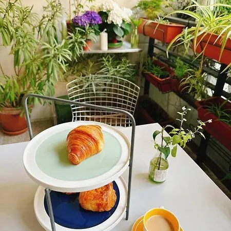 Apartment Oasis