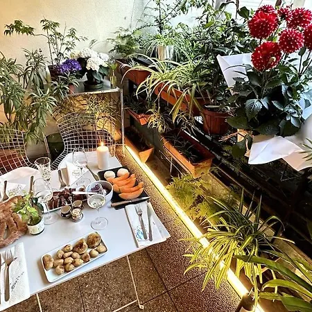 Oasis Parigi
